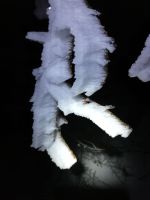 IMG-20180204-WA0012